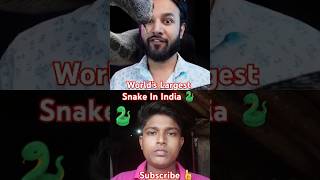 Worlds Largest Snake 🐍 In India 🔥 FactsMine shorts shortsfeed trending viralvideo ytshorts [upl. by Survance]