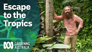 Escape To The Tropics  Discovery  Gardening Australia [upl. by Fonz]