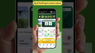 Rotate Pesticides for Effective Crop Protection for more info use the NaPanta app bitlyNaPanta [upl. by Sivra]