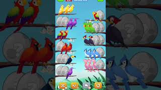 cute birds 🐦 38  bird short game  bird short game shortfeed [upl. by Andert]