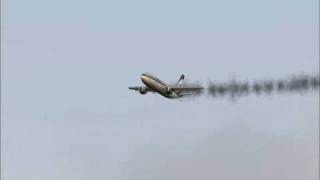 VIDEO Fatal AIRBUS CRASH caused by quotAir Ragequot [upl. by Vincelette]