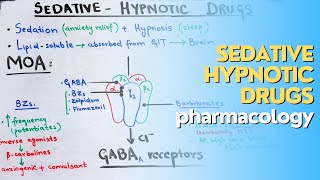 SedativeHypnotic drugs part 2 CNS pharmacology made EASY and QUICK [upl. by Monteith]