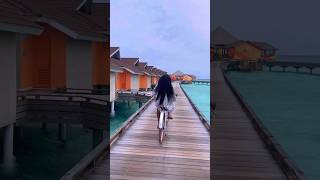 📍Maldives travel maldivesescape vacation maldivesresorts [upl. by Sidoma]