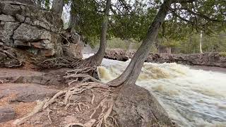 Gooseberry Falls May 2022 [upl. by Anabelle]