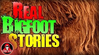 7 REAL Bigfoot Sightings  Darkness Prevails [upl. by Yticilef305]