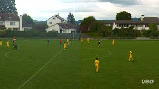 FCO  FC Greifensee 21 [upl. by Dorin]