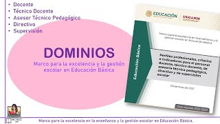 DOMINIOS en el Marco para la excelencia en la enseñanza y gestión escolar en Educación Básica [upl. by Ihcego]