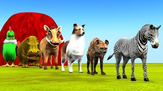 Paint amp Animals Cat Pig Rabit Buffalo Lion Fountain Crossing Transformation Animal Cartoon  P1 [upl. by Ytsur655]