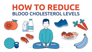 Best foods to lower cholesterol Proper nutrition to lower cholesterol [upl. by Eniamrej]