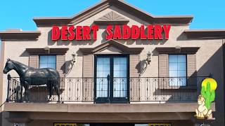 Desert Saddlery in Gilbert Arizona is a major Circle Y Saddle Dealer [upl. by Annahvas704]