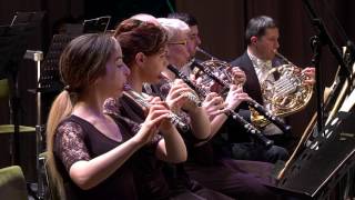 Felix Mendelssohn Concert pieces for Two Clarinets and Orchestra  T PálSzeged Symphony Orch [upl. by Eidissac]