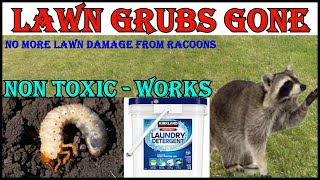 No More Lawn Grubs  No More Raccoons Digging Up My Lawn [upl. by Cj]