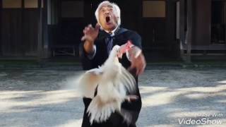 チキンアタック 鳥攻撃の術 ヨーデル歌手 石井健雄 ishii takeo chicken attack [upl. by Phyllida630]