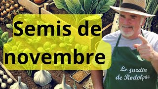 Les 10 meilleurs légumes à semer en novembre même par temps froid [upl. by Hopkins]