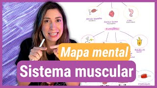 Faça um MAPA MENTAL junto comigo SISTEMA MUSCULAR [upl. by Ycat454]