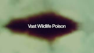 Prefuse 73  Vast Wildlife Poison Official Visualiser [upl. by Levinson]