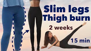 Slim legs amp thigh burn🔥secret easy workout  2 weeks beginner challenge 15minquietno equipment [upl. by Justin462]