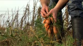 Prosto od rolnika  MODR Karniowice  film o sprzedaży artykułów rolnych [upl. by Mozza]