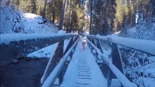 Morgins  En Tey  Chemin des Ponts Valais Suisse 18112017 [upl. by Nytsud]