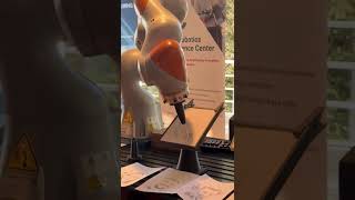 KUKA robot mastering the art of dot drawing portraits at Swiss Robotics Day 2024 droneindustry [upl. by Almap905]