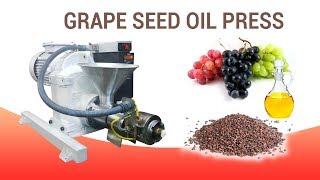 Grape Seed Oil Extraction [upl. by Eecram211]