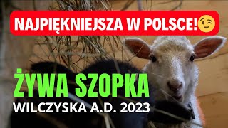 ŻYWA SZOPKA 2023 w Wilczyskach  najpiękniejsza w Polsce [upl. by Aliab]