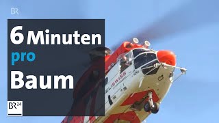 Ismaning Baumfällen mit dem Hubschrauber  Abendschau  BR24 [upl. by Miksen]