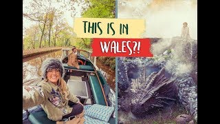 Real DRAGONS found in WALES [upl. by Harbot85]