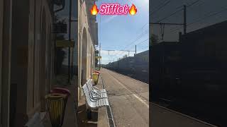 Compilation de sifflets en gare de bollene la croisière train trainspotting sncf railway tgv [upl. by Sherlock]