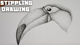 Stippling Drawing 68  How to Draw a Toucan Bird Using Dots Bird Drawing  Stippling Art [upl. by Kulda]