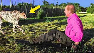 Cheetah Suddenly Jumps On Man What It Did Next Shocked The Whole World [upl. by Trinee423]