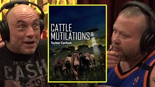 The Cow Mutilation Mysteries  Joe Rogan amp Action Bronson [upl. by Minne]