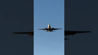 United 737700 landing at Newark Liberty Airport [upl. by Keifer]