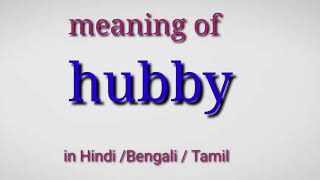 Hubby meaning in Hindi hubby meaning in Bengali hubby meaning in Tamil [upl. by Goodard]