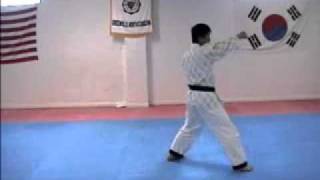 King Tiger Tae Kwon Do High Yellow Belt Poomsae [upl. by Atiragram]