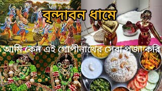 বৃন্দাবন ধামে আমি এই গোপীনাথের কেন সেবা পূজা শৃঙ্গার করি।জানলে আপনারাও অবাক হবেন।।vrindavan [upl. by Aseram]