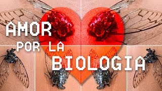 Biología Aplicada ♡ [upl. by Bilat]