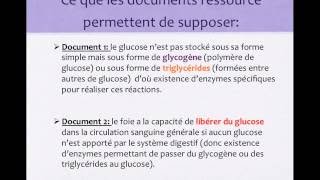 organes régulateurs glycémie [upl. by Ssur]