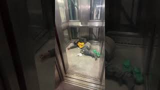 Snoring elevator mta nycsubway [upl. by Narret821]