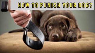 How to PUNISH your dog [upl. by Malkin]