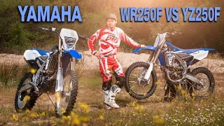 Yamaha WR250F VS YZ250F test Enduropro [upl. by Rome]