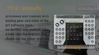 The Woods  Kontakt  Demo [upl. by Lleval]