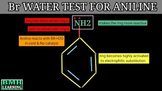 Bromine Water Test For Aniline  Reaction Of Aniline With Bromine Water [upl. by Alletneuq]