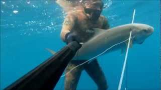 pesca sub ricciola 14kg gopro hero 1080 hd [upl. by Jewelle]