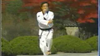 10 Taekwondo Poomsae Kuemgang WTF [upl. by Guild]