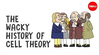 The wacky history of cell theory  Lauren RoyalWoods [upl. by Amre]