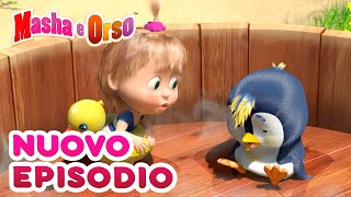 Masha e Orso 💥 Nuovo episodio 💥 Collezione di episodi 📺🎫 Cartoni animati per bambini [upl. by Anemix]