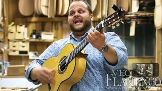 David Barrull tocando y cantando por bulerias en Guitarrería Alvarez amp Bernal​  VEOFLAMENCO [upl. by Nirik]