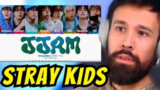 Stray Kids JJAM REACTION [upl. by Anirbes]