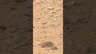 Perseverance Rover Sol 1330  Mars New 4k Video  Mars 4k Video  Mars In 4k  Mars shorts [upl. by Llerahs]